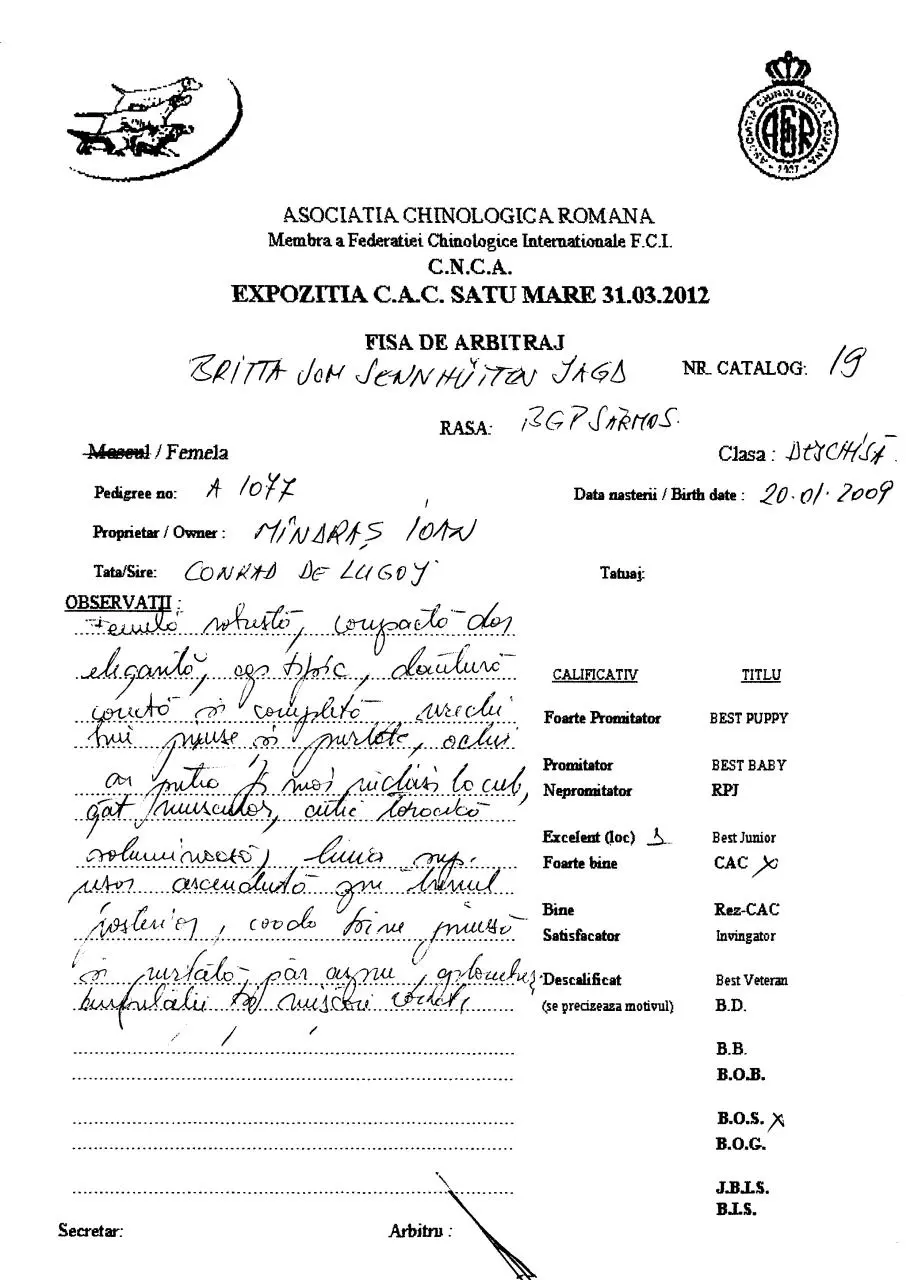 Page 1 of 2, EXPO CAC SATU MARE