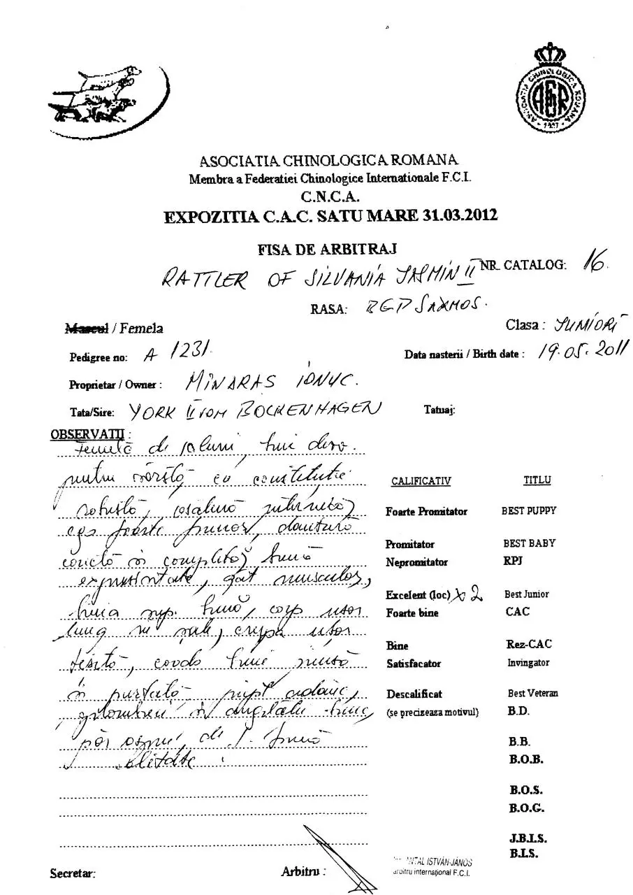 Page 2 of 2, EXPO CAC SATU MARE