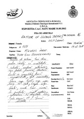 Page 2, EXPO CAC SATU MARE