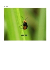 Page 1, pdf test