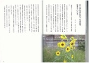 Page 4, 『まげねっちゃ』（抜粋・少）pdf