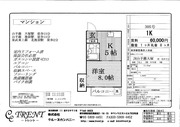 Page 1, 資料集