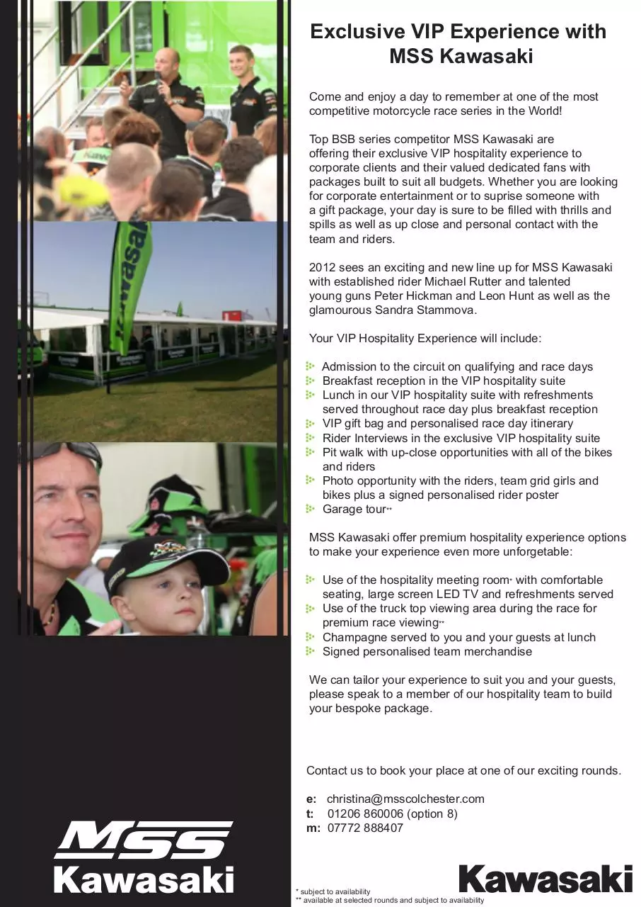 Page 1 of 1, VIP Hospitality Flyer