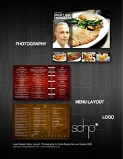 Page 4, DAVE WILLIAMS 2012 PORTFOLIO