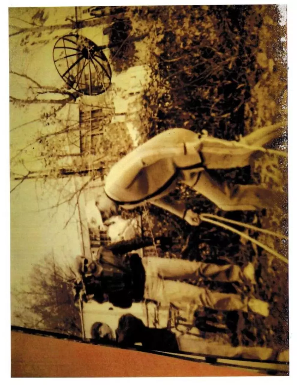Page 3 of 3, Pond Photos