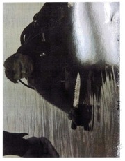 Page 2, Pond Photos