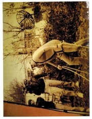 Page 3, Pond Photos