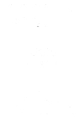 Page 2, EXPLOSION CARISMATICA