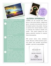 Page 3, SPA INTRO