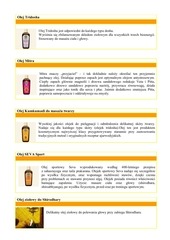 Page 3, Katalog SHANTI