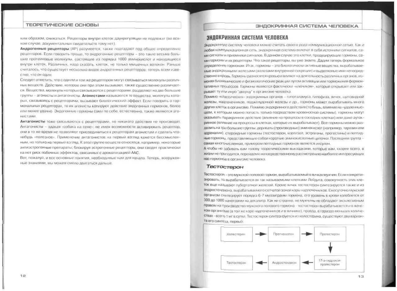 Page 5 of 161, Анаболик ревю.2009