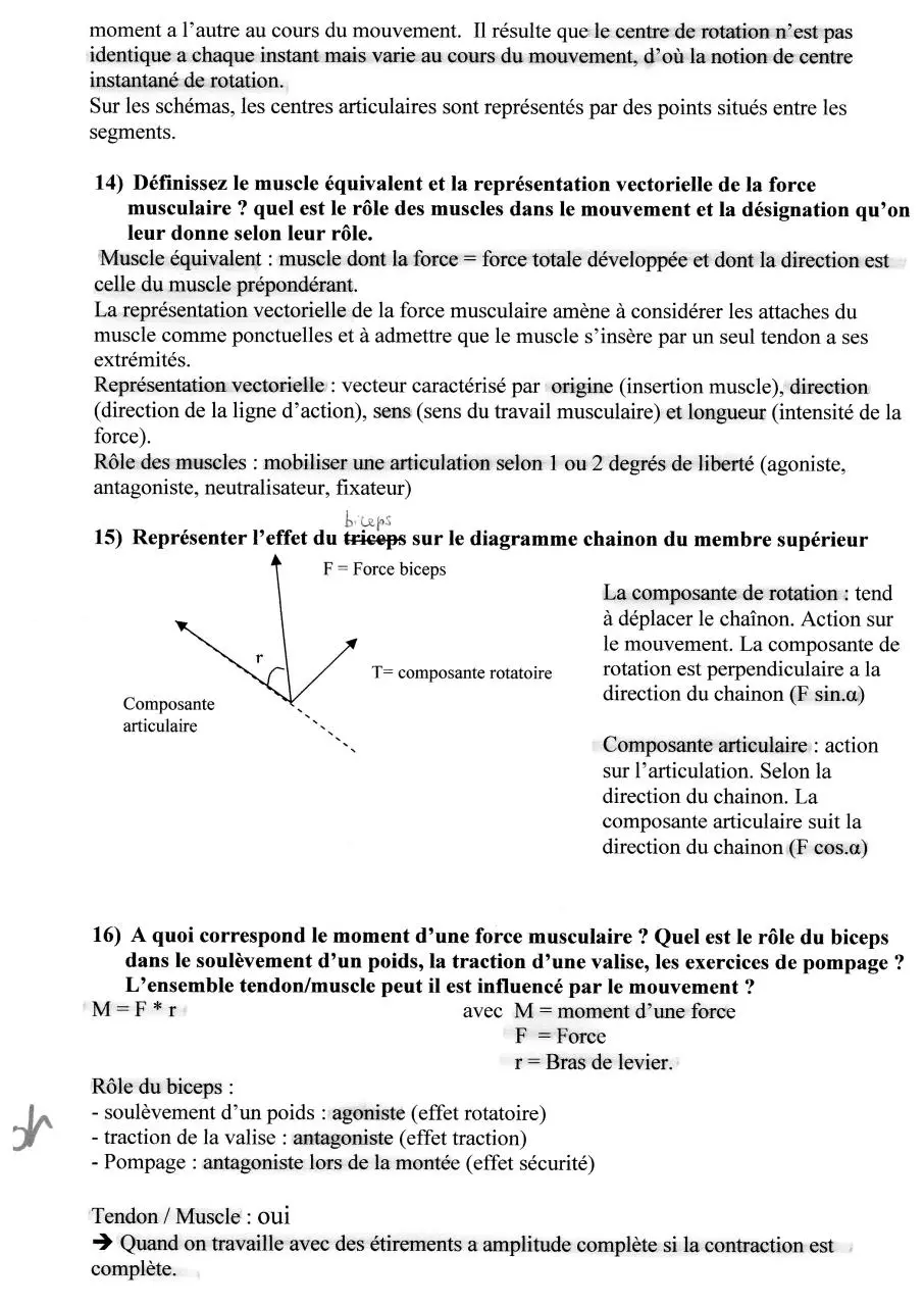 Page 4 of 16, Biomecanique Tuyaux