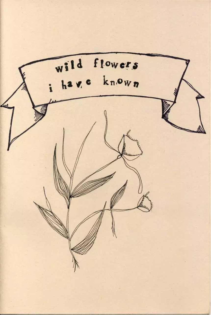 Page 1 of 12, Wild Flowers I Have Known Zine 2012 S&S