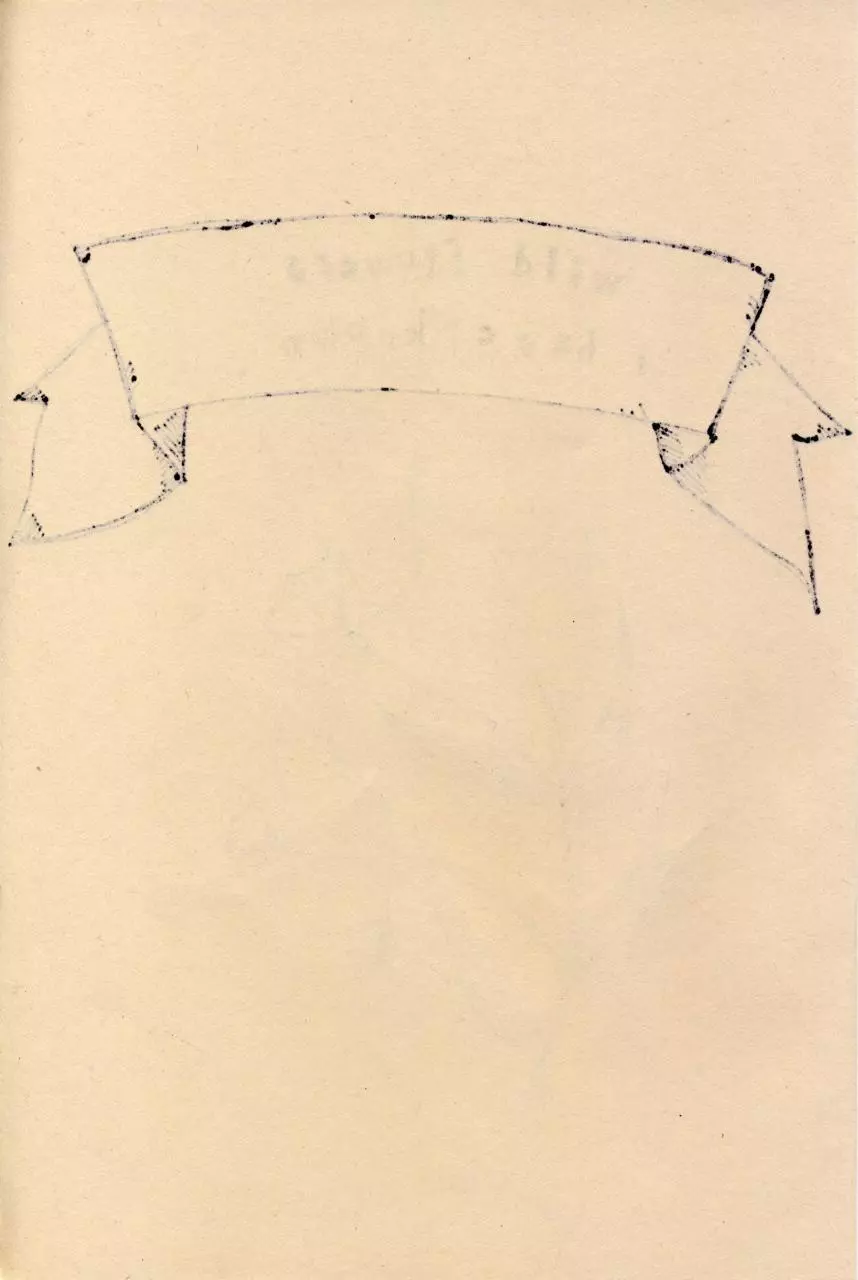 Page 2 of 12, Wild Flowers I Have Known Zine 2012 S&S