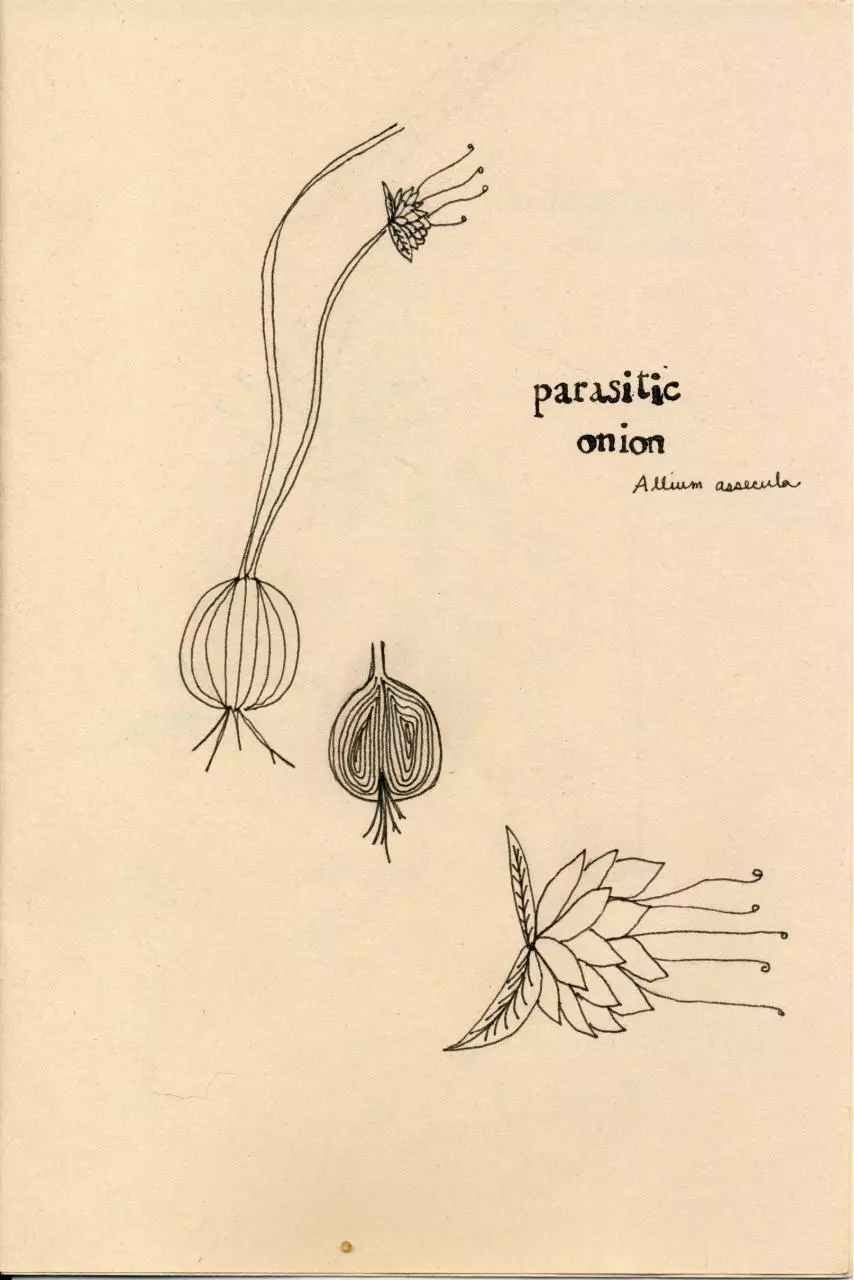 Page 3 of 12, Wild Flowers I Have Known Zine 2012 S&S