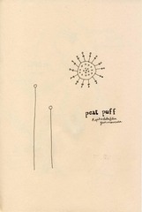 Page 4, Wild Flowers I Have Known Zine 2012 S&S