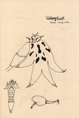 Page 5, Wild Flowers I Have Known Zine 2012 S&S