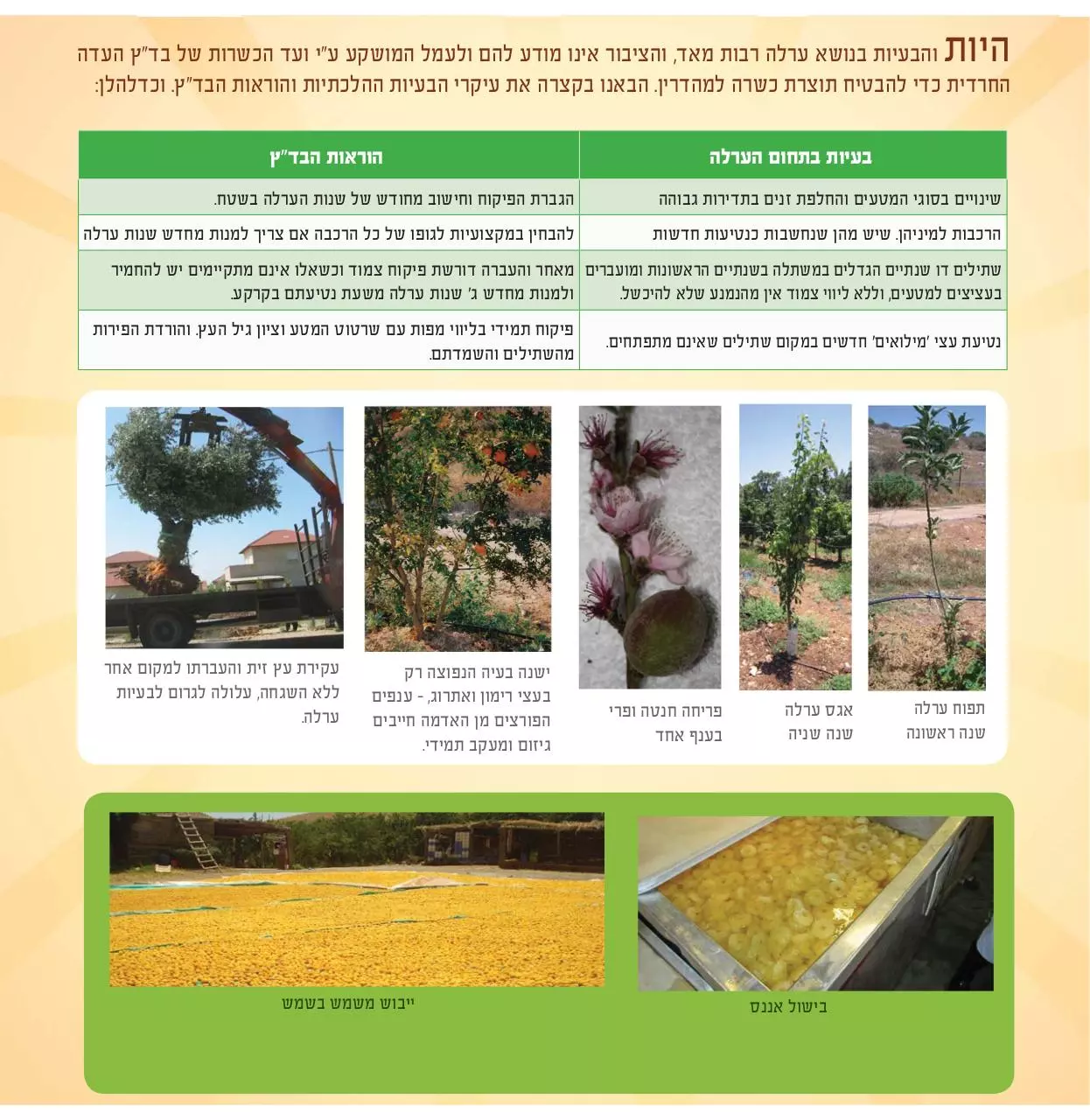 Page 2 of 6, badaz