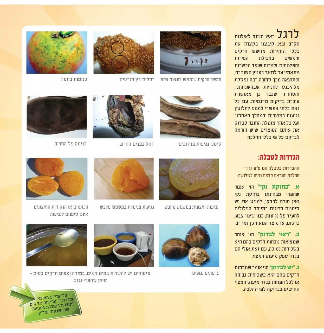 Page 3 of 6, badaz