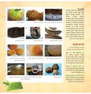 Page 3, badaz