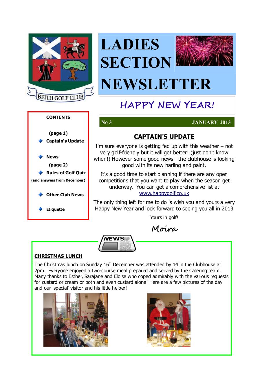 Document preview Newsletter Issue 3 _ January 2013 (1).pdf - page 1/2