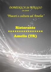 Page 4, Programma 2013