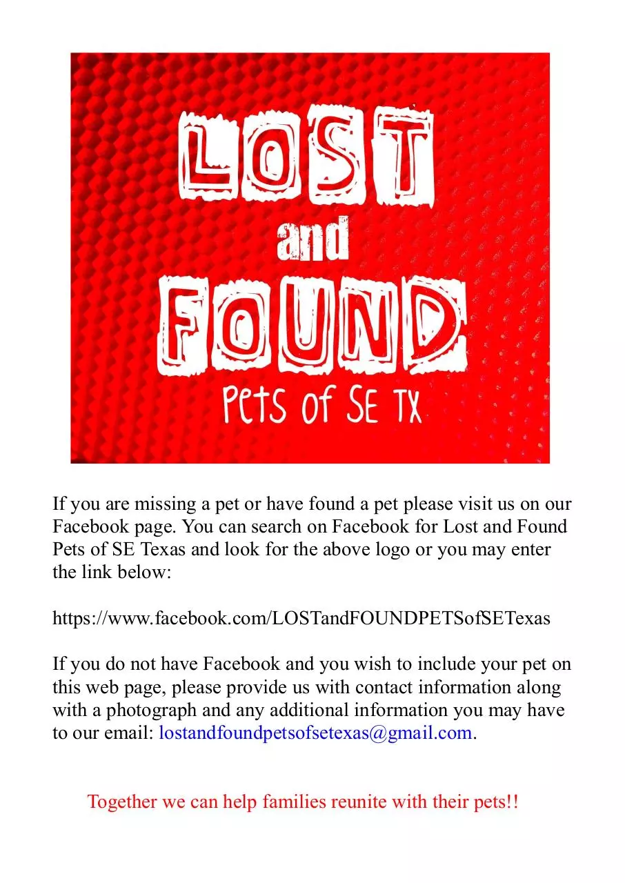 Page 1 of 1, LOST NEW