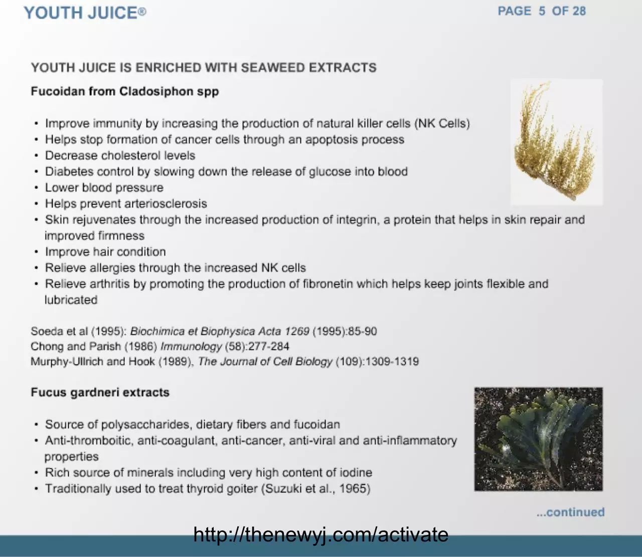 Page 5 of 28, youthjuice