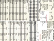 Page 4, DM Screen 1 Complete