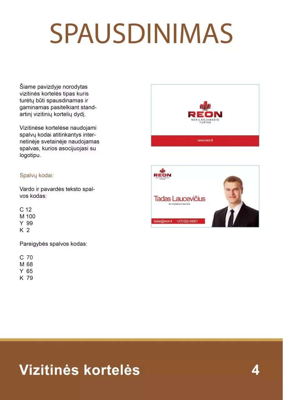 Page 4 of 8, REON dizaino vadovas