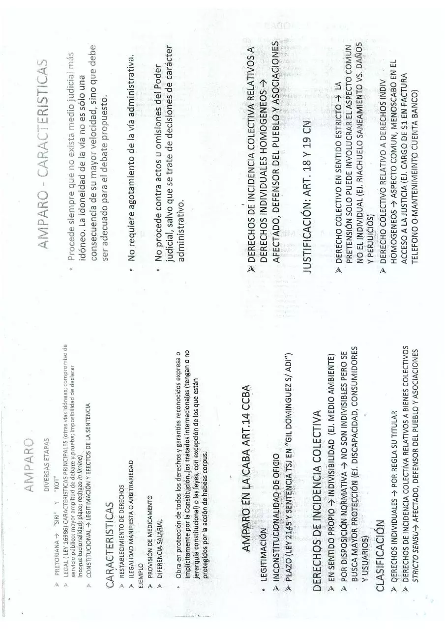 Page 1 of 12, Amparos