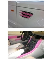 Page 2, CAR WRAP