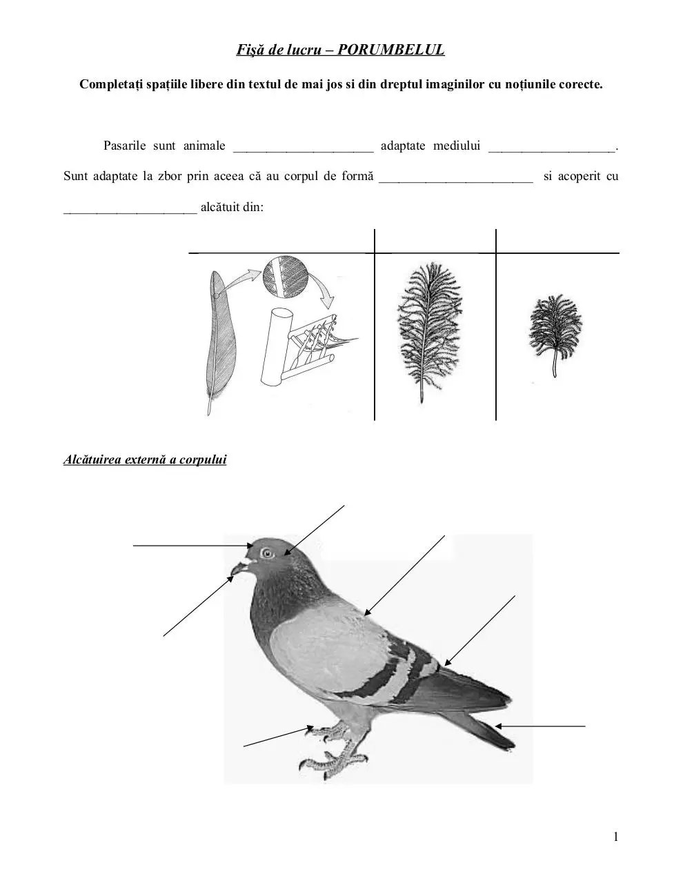 Page 1 of 2, fisa de lucru porumbelul