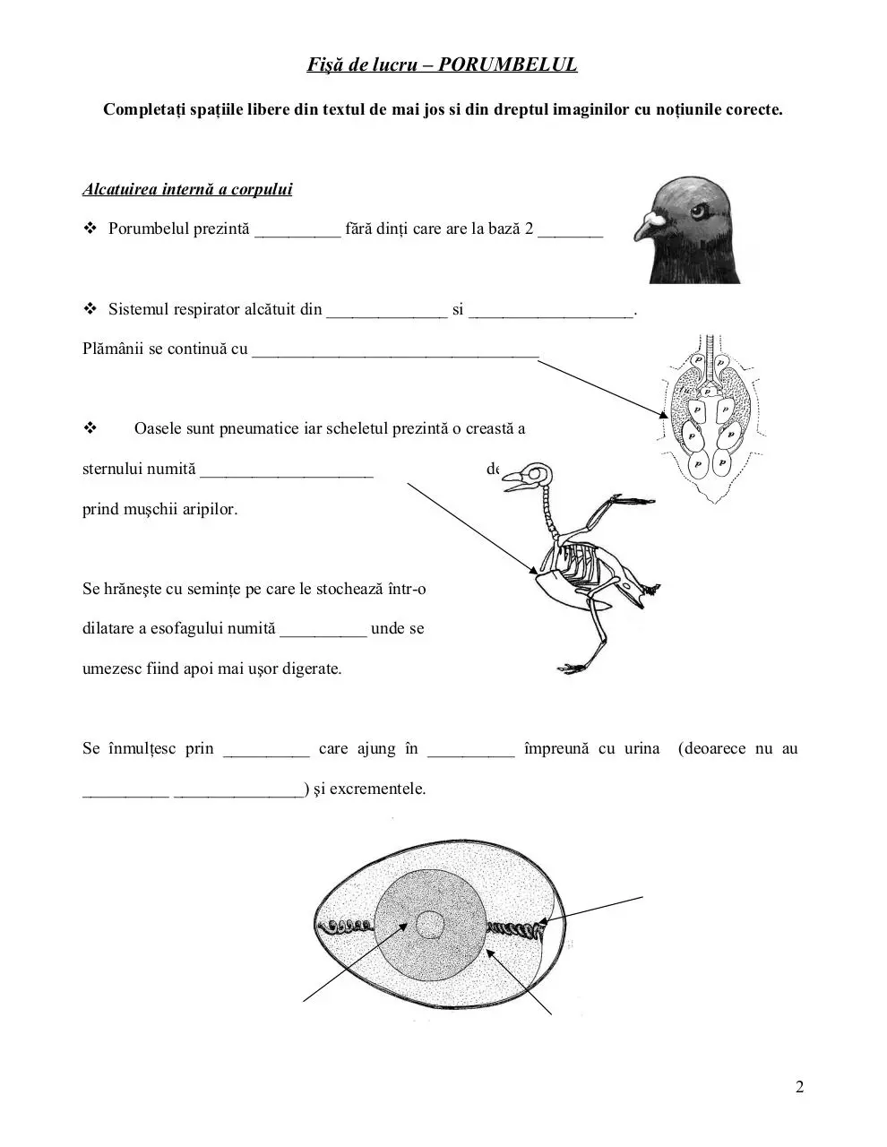 Page 2 of 2, fisa de lucru porumbelul