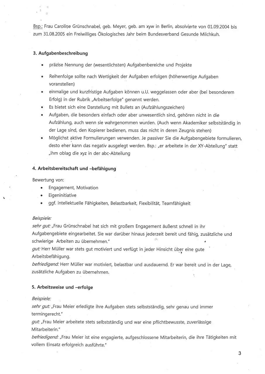 Page 3 of 6, Leitfaden Abschlussbericht