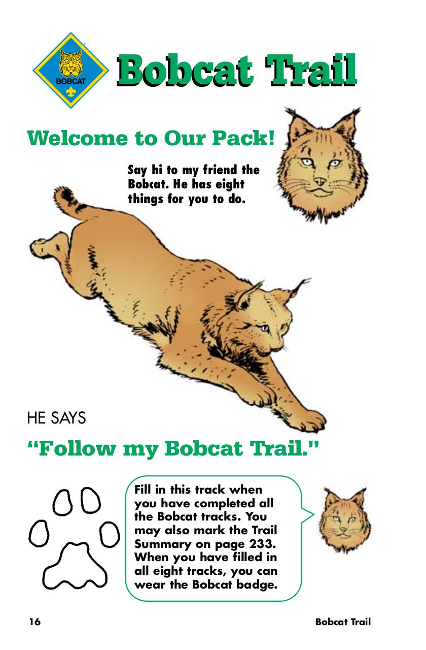 Preview of PDF document bobcat.pdf