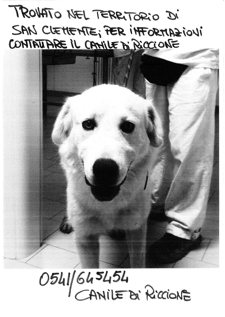 Page 1 of 1, Cane 1