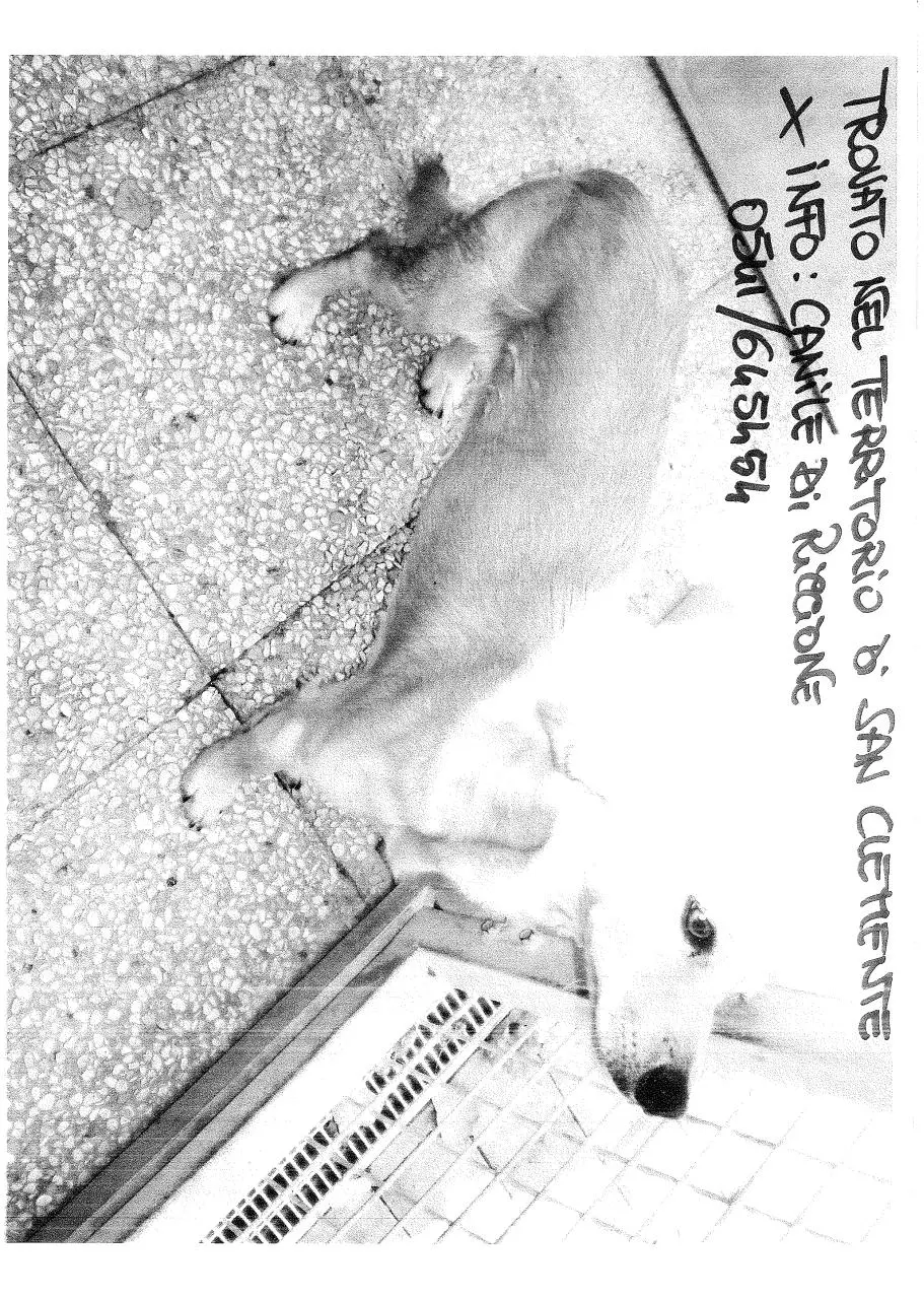 Page 1 of 1, Cane 2