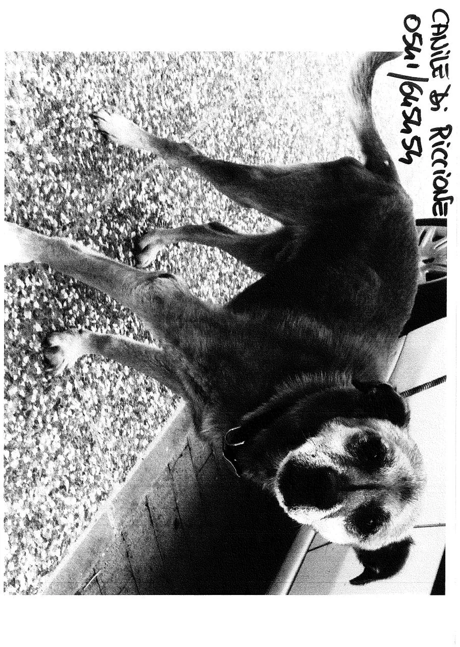 Page 1 of 1, Cane 3