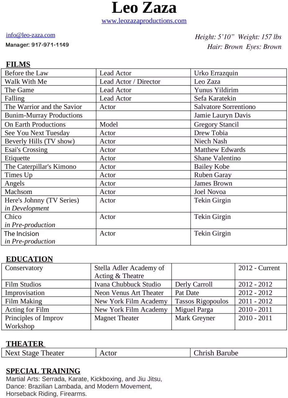 Page 1 of 1, Leo Zaza 2013 CV WEB