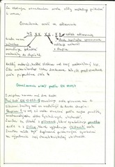 Page 2, scan0006