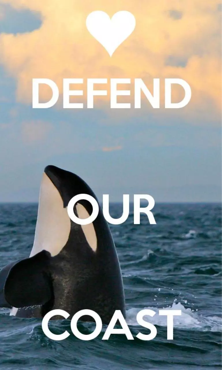 Page 1 of 1, defend our coast 2