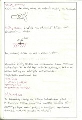 Page 3, scan0002
