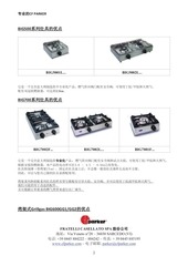 Page 2, Advantage Parker Professional China