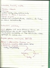 Page 1, scan0005