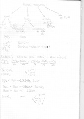 Page 1, SCN 0001