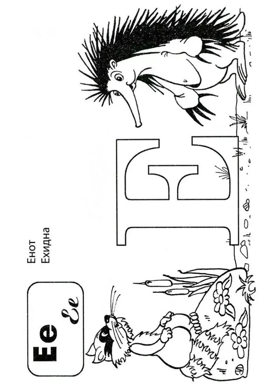 Page 5 of 68, брошюра