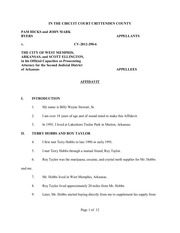 affidavit of bs