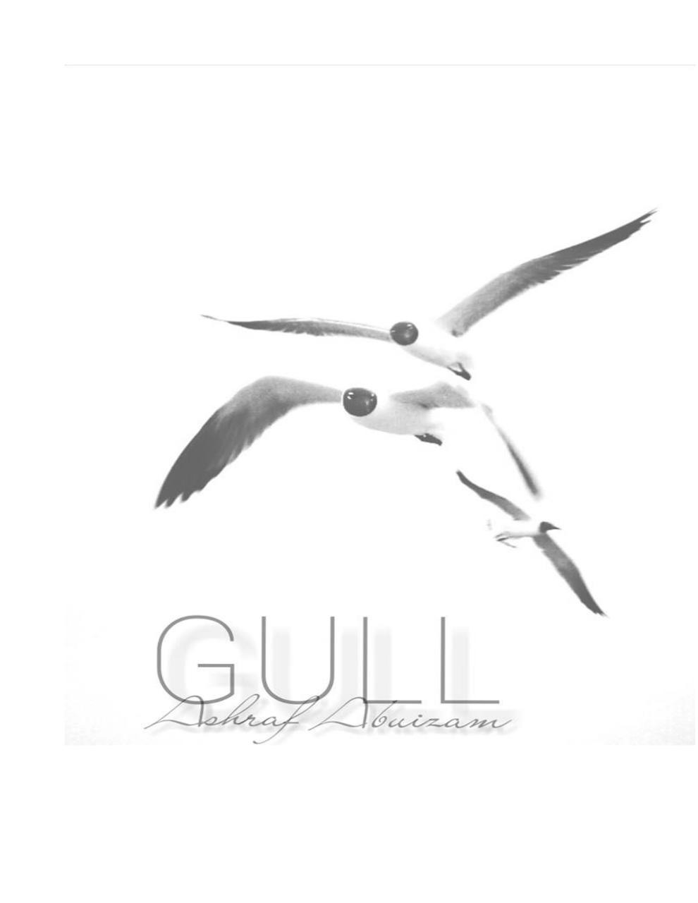 Document preview Copy of Copy of Gull FINAL  .pdf - page 1/2