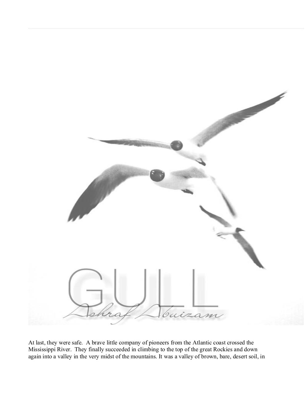 Document preview Copy of Gull FINAL .pdf - page 1/2
